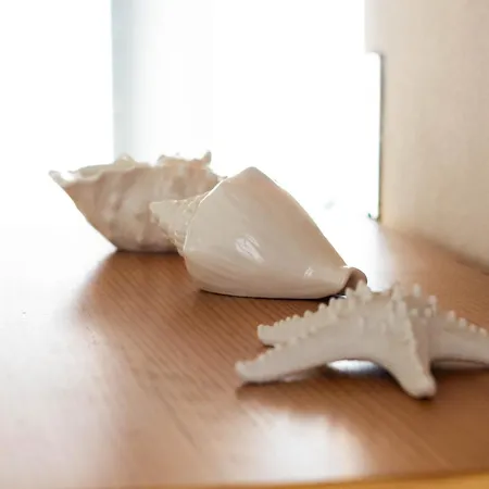 Delfino Blue *